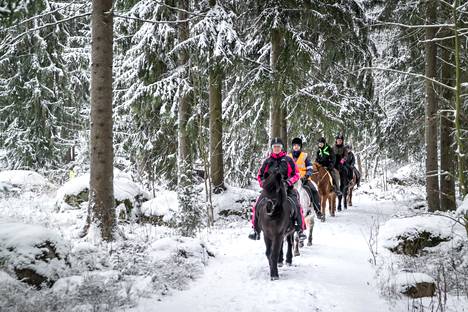 Pälkäneellä Alfur-tallilla vaelletaan islanninhevosilla lumisissa maisemissa. Kuvassa järjestyksessä Sanna Rönni, Paula Sallinen, Hanna Kettunen ja Laura Tamminen.
