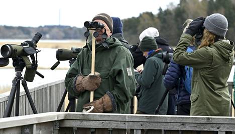 Lintuharrastajat tarkkailevat lintuja Espoossa Maarin lintutornissa lauantaina 6. toukokuuta.