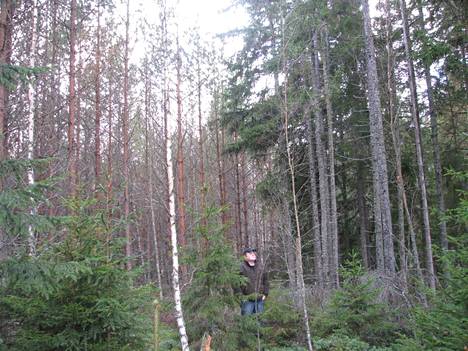 Metsätalousinsinööri Tapio Isotalo jätti metsänhoitoyhdistyksen Merikarvian toimiston tammikuun lopussa.