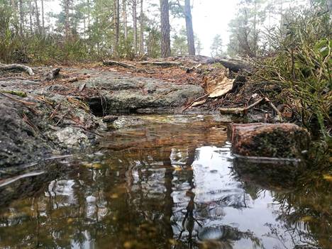 Tiedätkö keväisin pulppuavan kalliolähteen ja muut Kullaanvuoren  kummajaiset? - Elämänmeno - Rannikkoseutu