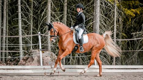 Sara Kivinen ja Pin Rock's Cardamine voittivat kansainvälisen poniluokan Pärnussa ja tekivät samalla Mäntän Ratsastajien seurahistoriaa.