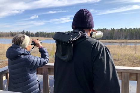 Leena Pekkarinen ja Martti Viljakainen havainnoivat lintuja Kolhon Käkijärven lintutornissa myös vuoden 2022 tornien taistossa.