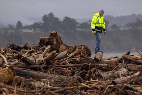 Talvimyrskyjen kaatamia puita huuhtoutuneena rantaan Kalifornian Capitolassa 15. tammikuuta.