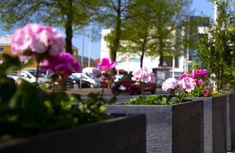 Good Mood Cafen terassin pelargonit kaunistivat Valkeakosken ydinkeskustaa 15. toukokuuta 2023.