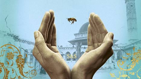 Christy Lefteri kirjoitti romaaninsa Aleppon mehiläistarhuri työskenneltyään pakolaisten parissa Syyriassa.