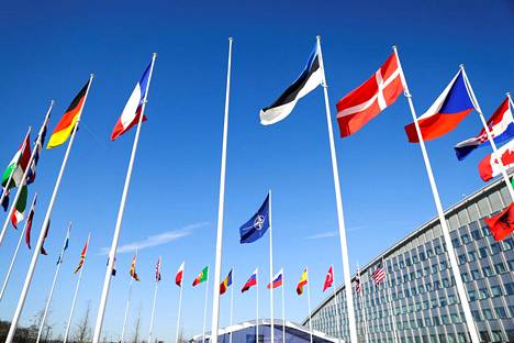 Suomen lipun on tarkoitus kohota Ranskan ja Viron lippujen väliin Brysselissä.