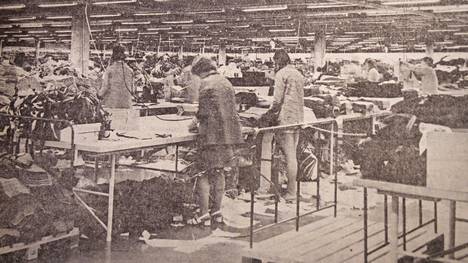 Keväällä 1972 valmistuneen elinkeinotutkimuksen mukaan Reima-Pukine Oy oli Kankaanpään suurin työllistäjä.