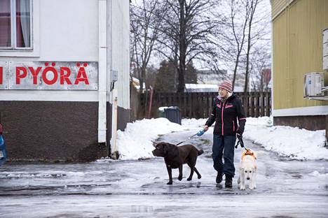 Jääpeitteiset jalkakäytävät ovat vaaran paikkoja, etenkin jos uutta lunta ehtii sataa päälle. Arkistokuvassa Porin Viikkarissa asuva Virpi Lampela ulkoiluttamassa koiriaan muutamaa päivää ennen joulua.