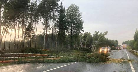 Myrsky kaatoi runsaasti puita myös valtatie 2:lle. Seppälän ahteessa käytössä oli vain toinen kaista.