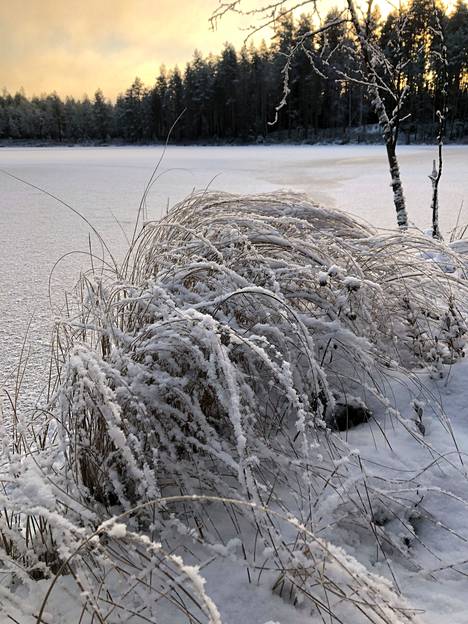 Jääriitteen saanut ja matalassa talviauringossa kylpenyt Koukkujärvi hohti retkipäivänä tuhansin timantein.