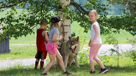 Avoimet Kylät on iloinen tapahtuma. Kuvassa lapset huolehtivat koiravieraasta Pohjaslahden Avoimet Kylät-tapahtumassa vuonna 2019.