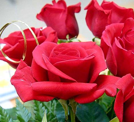 Ruusujen täyteistä ylioppilasjuhlaa vietetään kesäkuun ensimmäisenä lauantaina.