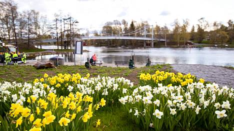 Markkinointisihteeri Riina Syrjäsen mukaan Valkeakosken kaupungin painettu kaupunkiesite on suunnattu kerralla monelle eri kohderyhmälle, koska se on kustannustehokasta. Kuvituskuva Lepänkorvan puistosta keväältä 2020.