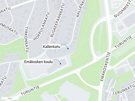 Osa Kallenkadun kiinteistöistä sijaitsee hyvin lähellä Emäkosken koulua. Uuden koulun rakennustyömaan alta kaadettiin metsää, joka aiemmin toimi suojana asukkaille. Nyt koulun pihalta kantautuu paljon meteliä ja liikennemelu kantaa Turuntieltä pihoille.