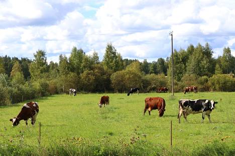 Selvä enemmistö suomalaisista on valmis ohjamaan verorahoja tukemaan maaseutuelämää.