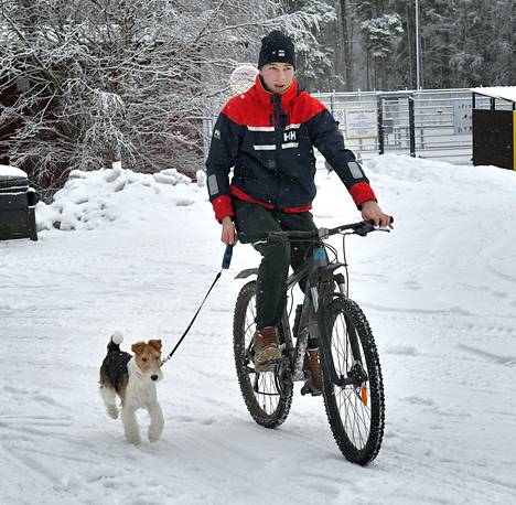 Hiihtoa harrastava Tomas Heinonen oli lähtenyt tarkastamaan Lähdepellon latujen kuntoa karkeakarvaisen kettuterrierinsä Magnuksen kanssa. Vesisateen ja lämpöasteiden heikentämät ladut olivat vasta sataneen lumen myötä taas paremmassa kunnossa. Tomas kertoi käyvänsä yleensä kolmisen kertaa viikossa hiihtämässä. Vajaa yksivuotias energiapakkaus, Magnus, otti tuntumaa ensimmäistä kertaa polkupyörän vieressä juoksemiseen, ja hyvin näytti sujuvan. 