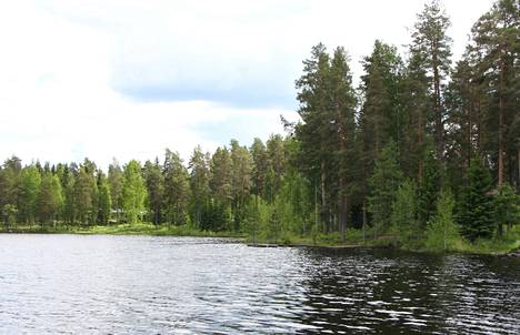 Mänttä-Vilppulan kaupunginhallitus käytti otto-oikeuttaa Tammirannan puistoalueen käyttöoikeuden luovuttamista koskeneessa teknisen lautakunnan päätöksessä.