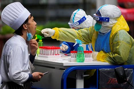 Hoitaja kerää koronavirusnäytettä kokilta Shanghaissa Kiinassa 13. toukokuuta 2022.