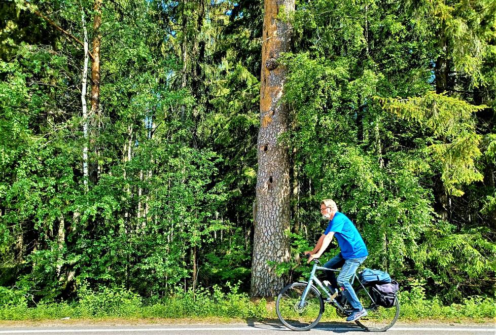 Tästä se alkaa, Sastamala. Yli 300-vuotias mänty näyttää, mihin Nokia loppuu. Toimittaja Matti Kuusela lähtee polkemaan kohti Satakuntaa.