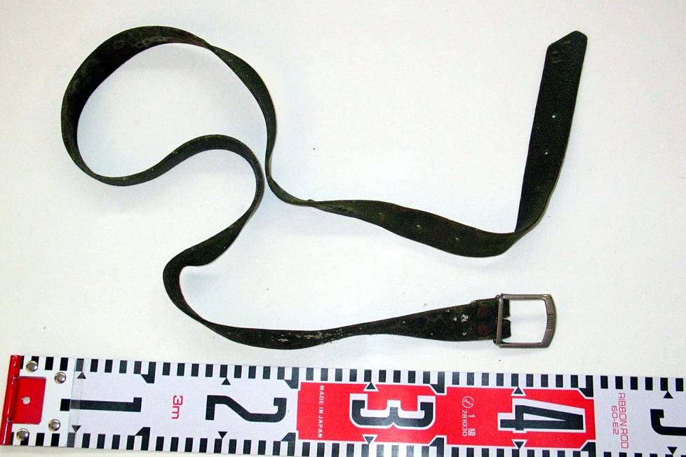 Kesällä 2007 Karvian Suomijärveltä löytyi miesten vyö. Poliisi uskoi tuolloin, että vyö saattoi liittyä Salomaan katoamiseen.