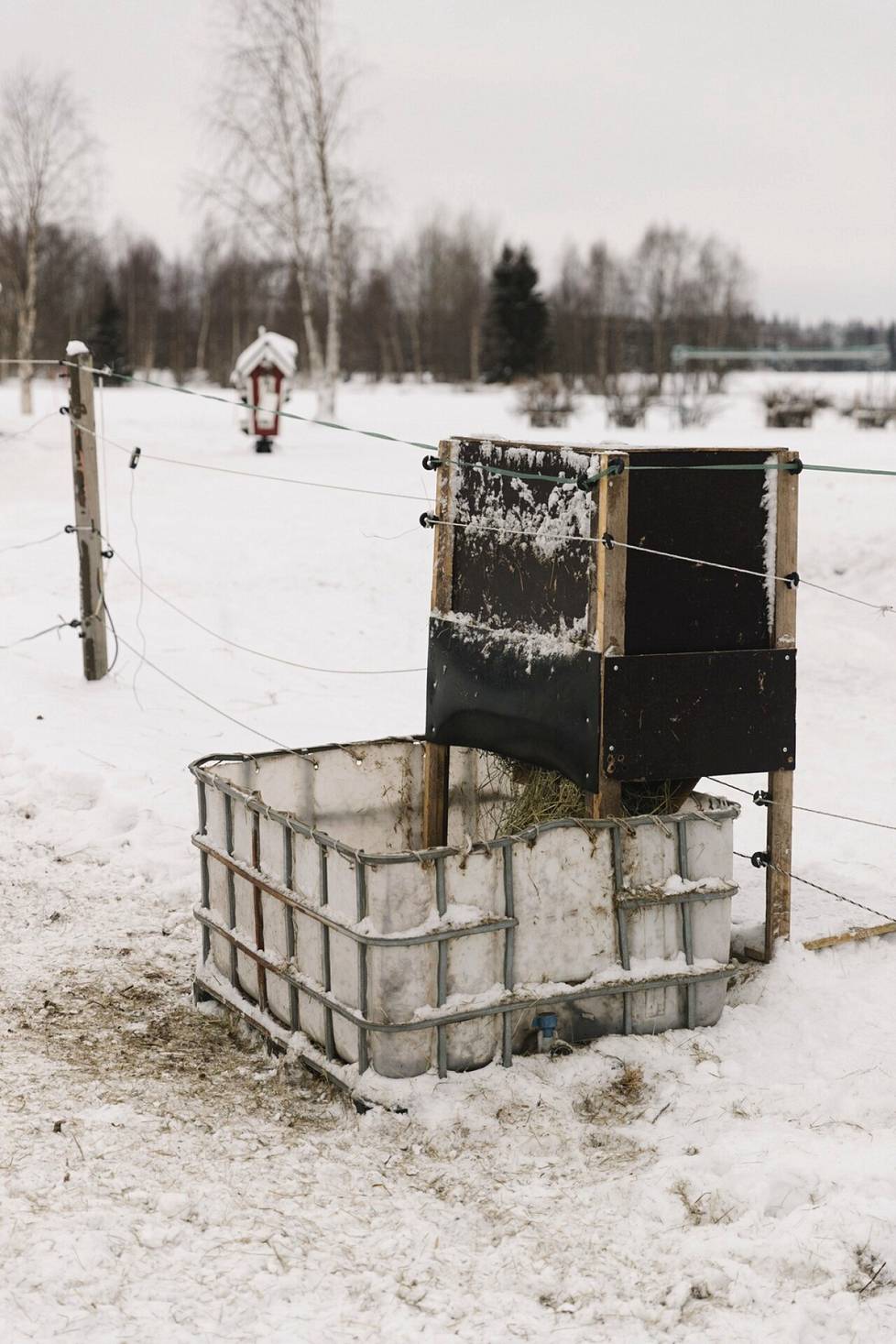 Torniolaisen Sofia Keräsen itse rakennettu heinäautomaatti. Automaatissa on ajastettu mekanismi, joka vapauttaa heinät hevosen syötäväksi.