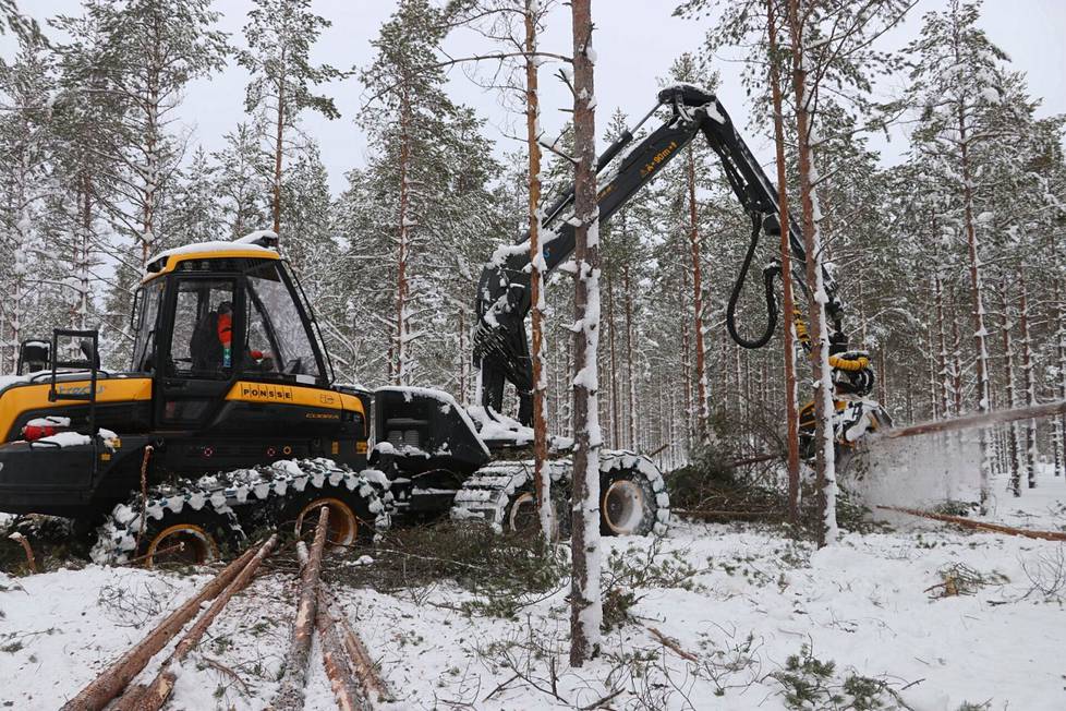 Hakkuutarpeet kasvavat eikä metsäkoneenkuljettajan työ Suomesta ihan heti lopu. Kurussa opiskeltiin puunkorjuuta 8. helmikuuta.