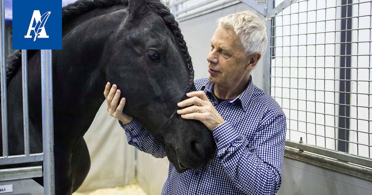 Hevoskuiskaaja-laulaja Kari Vepsä näyttää, miten ensikertalaisen pitää  lähestyä hevosta – Hevoset-messuilla etsittiin yhteyttä valtavaan,  kauniiseen pakoeläimeen