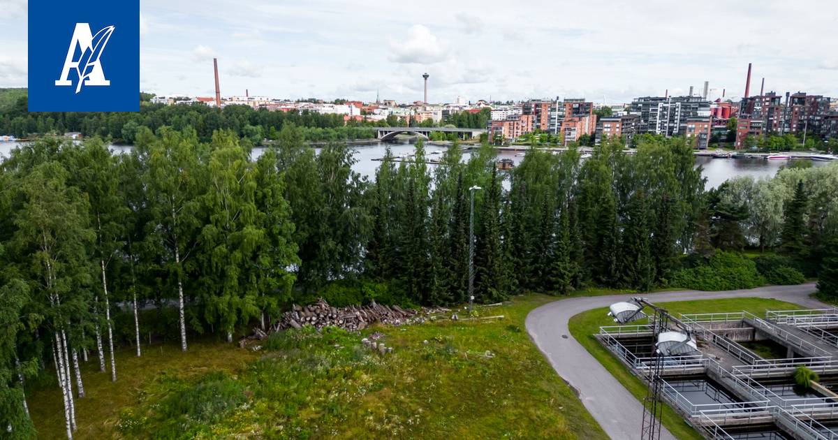 Weberin piste: Pirkanmaalla se on Viinikanlahden alueella Tampereen  Hatanpäällä - Pirkanmaa - Aamulehti