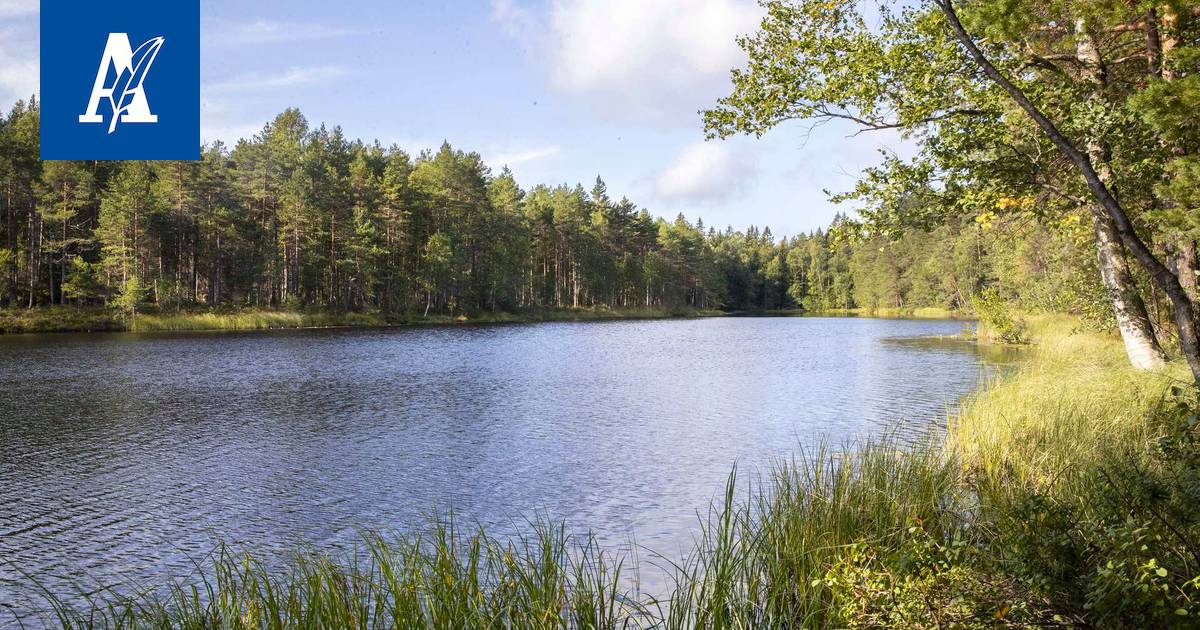 Pirkkalassa pääsee erämaatunnelmaan – Taaporinvuoren metsissä voi astella  vastaan vaikka karhu - Pirkanmaa - Aamulehti