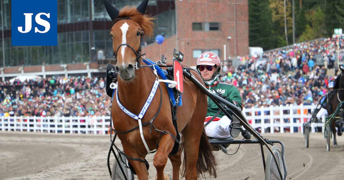 Kuninkuusravit: Hannu Torvinen lähtee toisen päivään odottavin mielin:  ”Kaikki vaikuttaa hyvältä” - Urheilu - Jämsän Seutu