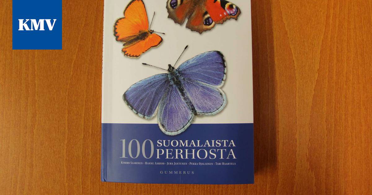 Perhosten kiehtova elämä avautuu hienossa tietokirjassa - Elämänmeno -  KMV-lehti