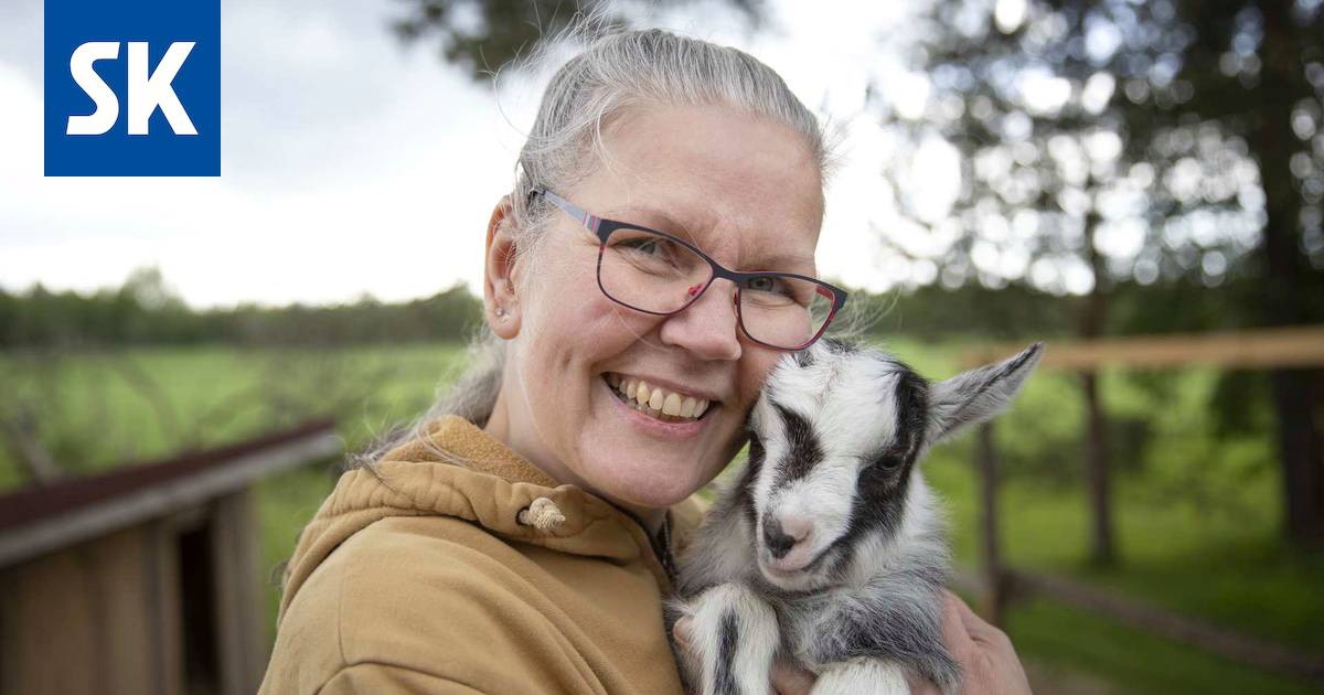 Vuohenmaitojäätelö valmistuu Porin Toukarissa käsityönä - Porilaine -  Satakunnan Kansa