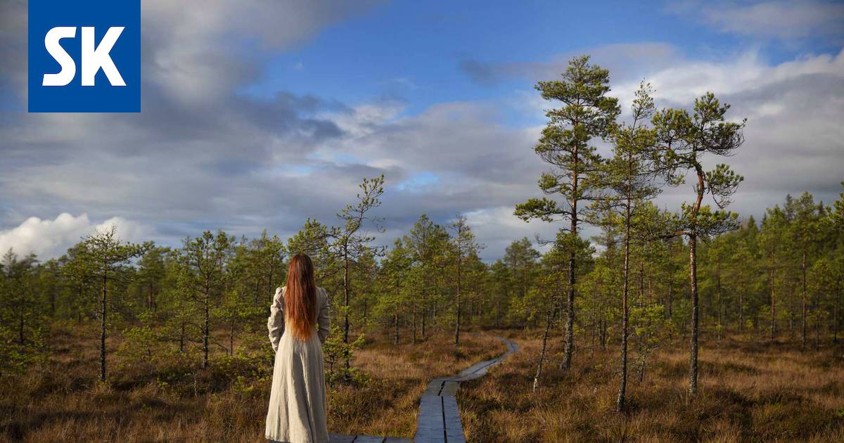 Televisiosta tuttu Jenni Levävaara löysi paikkansa keskeltä huittislaista  metsää - Satakunta - Satakunnan Kansa