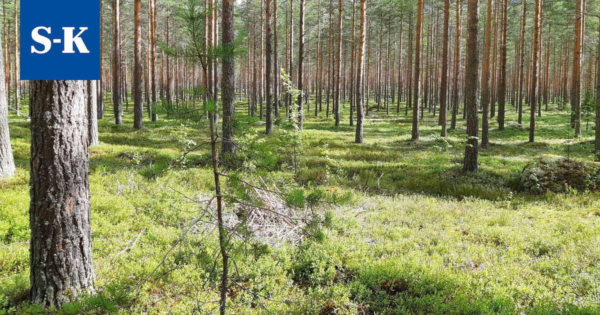 Mielipide: Keuruu Keski-Suomen helmi - Puheenvuoro - Suur-Keuruu