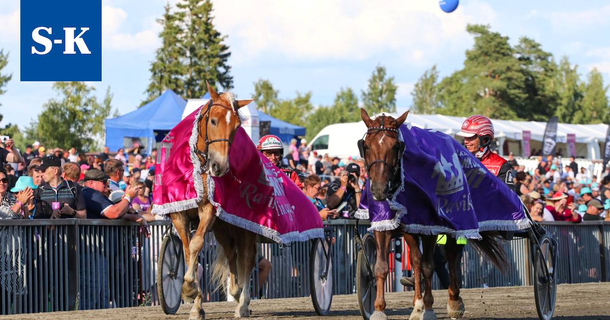 Kuninkuusraveissa saatiin tutut kuninkaalliset – Sekä Suven Sametti että  Evartti uusivat kuninkaallisen tittelinsä - Urheilu - Suur-Keuruu