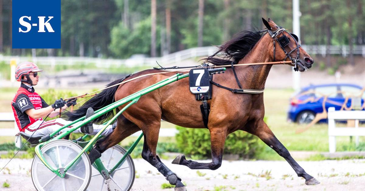 Helle helli raviyleisöä Suomen joka kolkassa - Urheilu - Suur-Keuruu