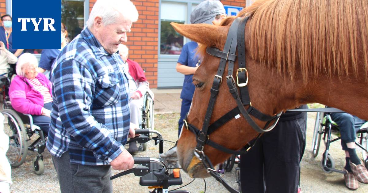 Kitkatuli oli odotettu vieras Hopun palveluksekuksessa - Elämänmeno -  Tyrvään Sanomat